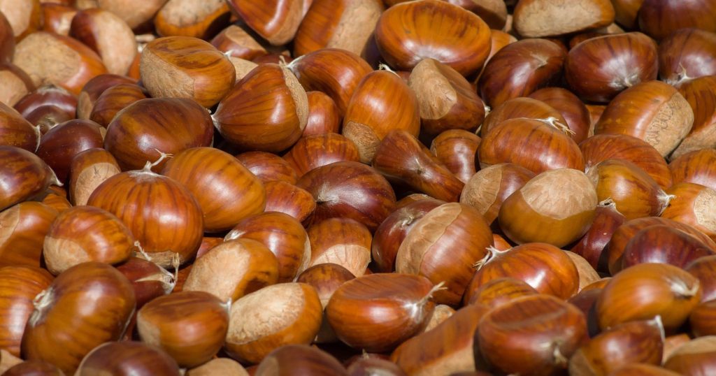 Castañas frescas. Foto de Jaqueline M;acou en Pixabay