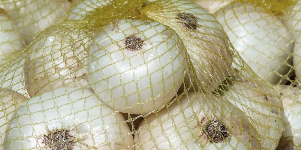 Cebollas blancas en una malla. Foto de Jaqueline Macou en Pixabay