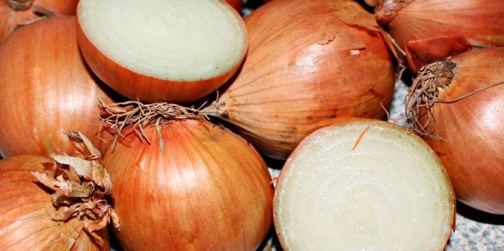 Cebolla común o amarilla. Foto de Werner Weisser en Pixabay