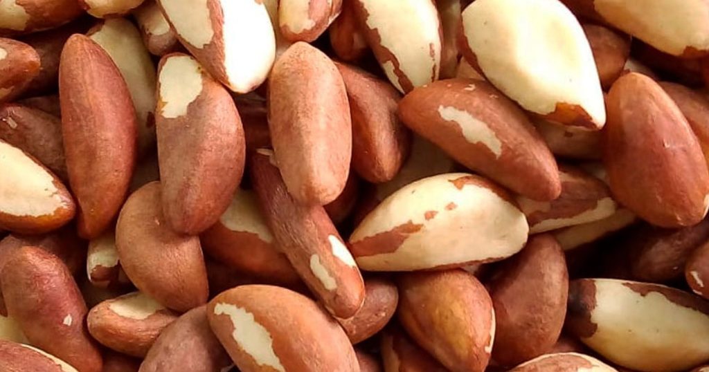 Nueces de brasil peladas. 