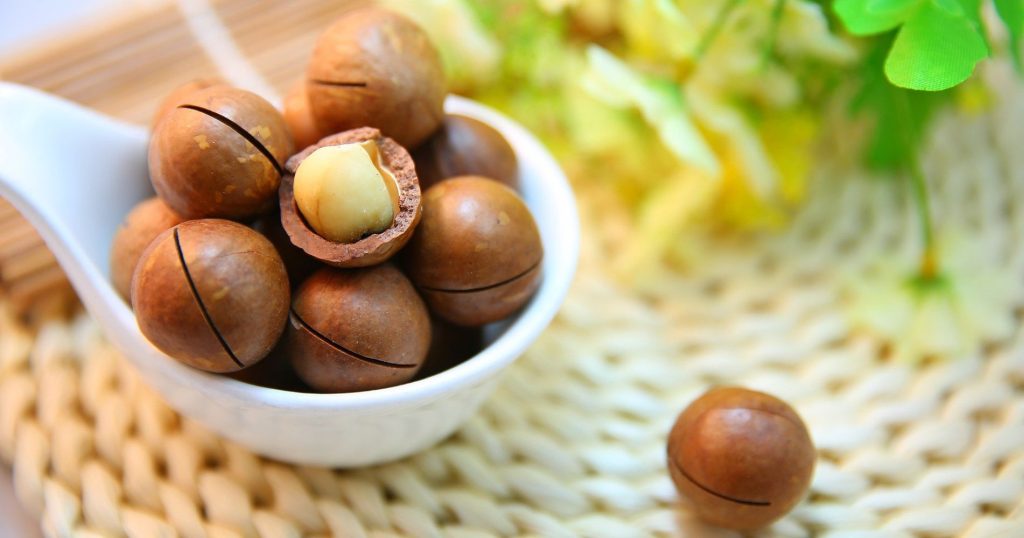 Nueces de Macadamia con piel y una pelada. Foto de Sunnysun en Pixabay