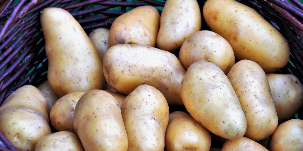 Patatas agrias. Foto de Czech en Pixabay