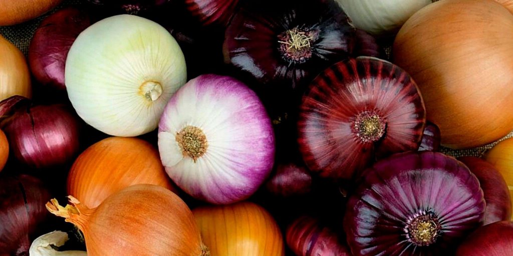 Varios tipos de cebollas. Foto de Joseph Mucira en Pixabay
