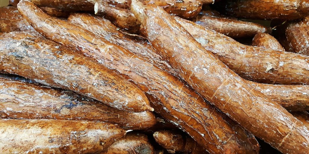 Yucas recolectadas. Foto de Brett Hondow en Pixabay